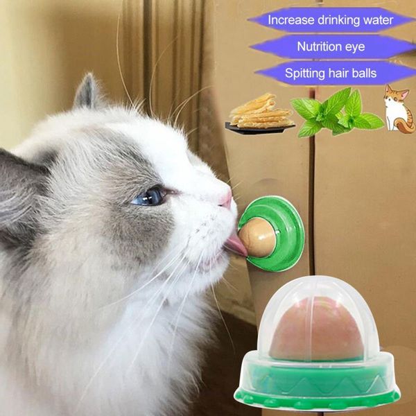 cat sugar ball candy licking solid nutrition energy toy safe natural catnip sucker keep healthy toys
cat sugar ball candy licking solid nutrition energy toy safe natural catnip sucker keep healthy toys