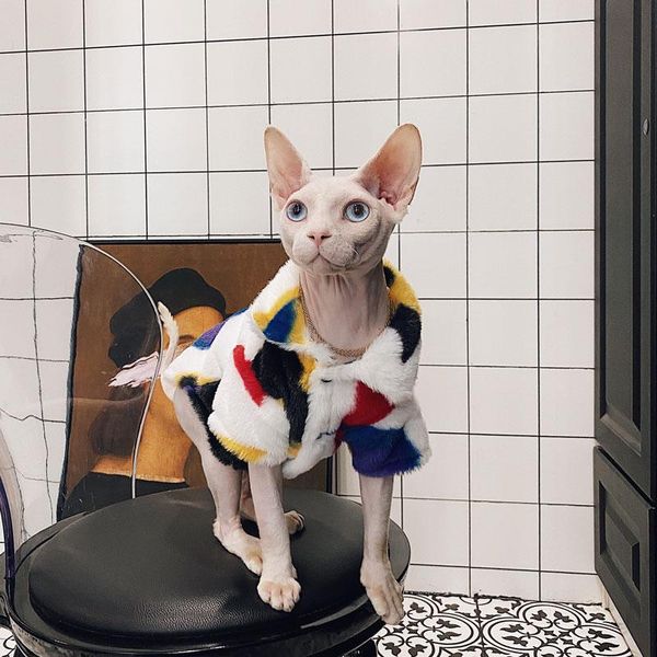hairless cat clothes sphinx devon short feet warm super thick plush pajamas winter costumes
hairless cat clothes sphinx devon short feet warm super thick plush pajamas winter costumes