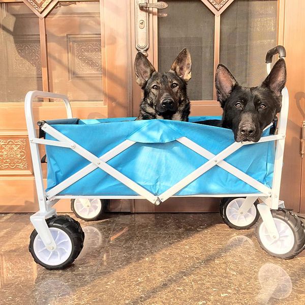 dog car seat covers pet stroller large, medium and small dogs large foldable washable four wheels luggage cart
dog car seat covers pet stroller large, medium and small dogs large foldable washable four wheels luggage cart