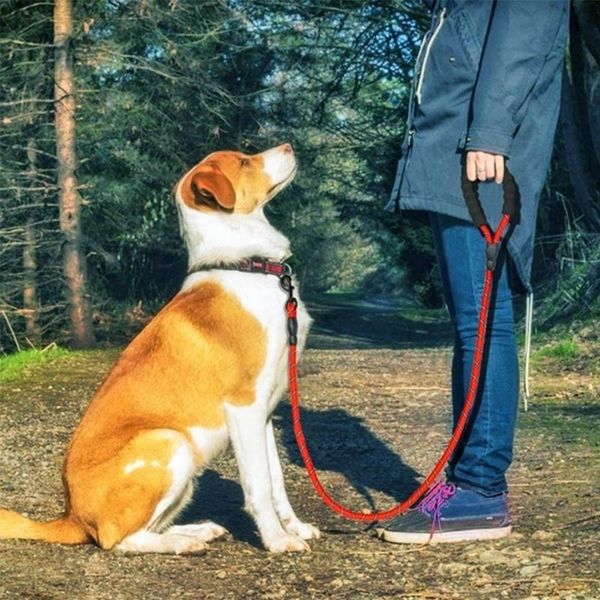 dog collars & leashes night reflection 120/150/200/300cm dogs strap leash durable pet supplies head outdoor chain nylon rope
dog collars & leashes night reflection 120/150/200/300cm dogs strap leash durable pet supplies head outdoor chain nylon rope