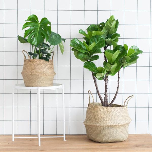 storage baskets seagrass wicker rattan basket planting flower pot folding clothes laundry home garden ldyllic style toy organizer
storage baskets seagrass wicker rattan basket planting flower pot folding clothes laundry home garden ldyllic style toy organizer