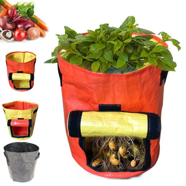 planters & pots 1pc potato grow bag 1/3/5/7/10 gallon vegetable plant growing with handles access flap garden carrot taro peanut
planters & pots 1pc potato grow bag 1/3/5/7/10 gallon vegetable plant growing with handles access flap garden carrot taro peanut