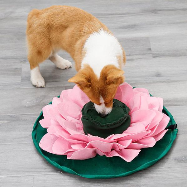 outdoor pads non-slip lotus shape pet sniffing mat and portable dog treat interactive puzzle toy can be folded into a bowl
outdoor pads non-slip lotus shape pet sniffing mat and portable dog treat interactive puzzle toy can be folded into a bowl
