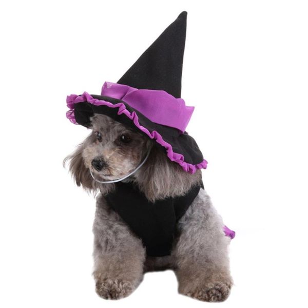 design hat funny pet clothing for party decor supplies (wizard suit) cat costumes
design hat funny pet clothing for party decor supplies (wizard suit) cat costumes