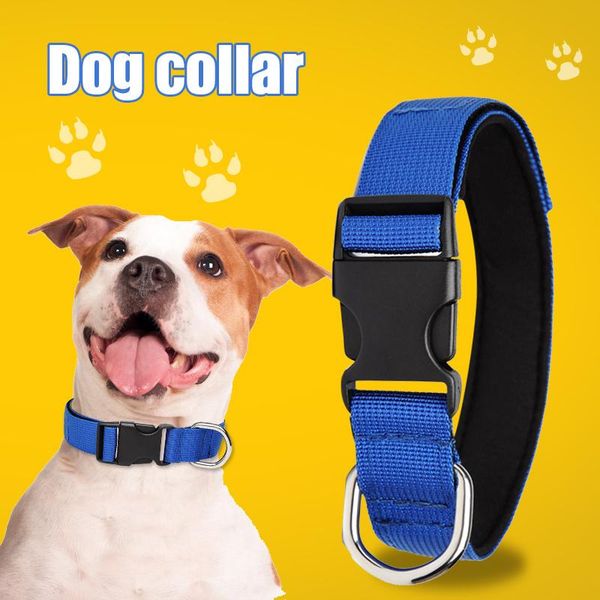 dog collars & leashes collar running premium quality sports extra comfort for active dogs drop
dog collars & leashes collar running premium quality sports extra comfort for active dogs drop