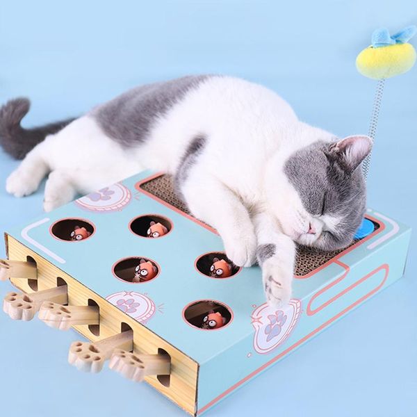 cat toys funny toy rotary table ball scraper circular corrugated grinder porous grinding claw training
cat toys funny toy rotary table ball scraper circular corrugated grinder porous grinding claw training