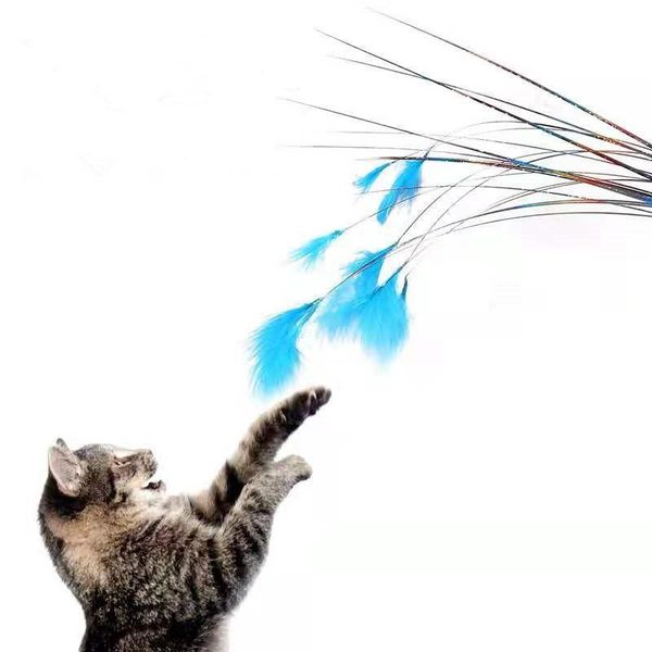 cat toys 1pc glitter wand teaser kitten funny interactive bell feather pet toy supplies fringed color ribbons
cat toys 1pc glitter wand teaser kitten funny interactive bell feather pet toy supplies fringed color ribbons