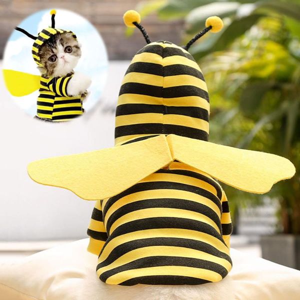 cat costumes pet funny cute honeybee style small dog clothes winter warm soft fleece puppy bee wings sweater hoodies
cat costumes pet funny cute honeybee style small dog clothes winter warm soft fleece puppy bee wings sweater hoodies