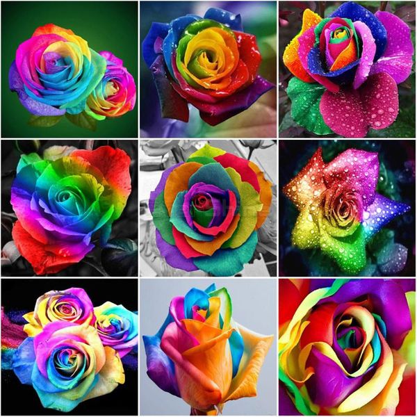 diamond painting evershine flowers full square 5d embroidery sale rose cross stitch bead picture kits art home decor
diamond painting evershine flowers full square 5d embroidery sale rose cross stitch bead picture kits art home decor