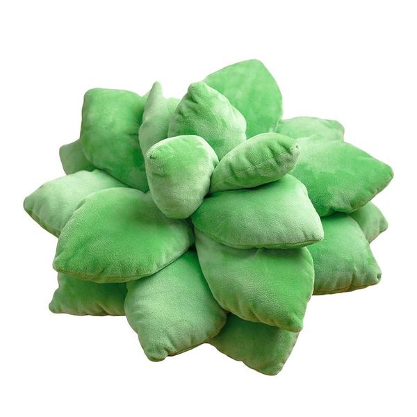 plant succulent cactus pillow decor garden green lovers cute succulents boy girl gift room bedroom home accessories
plant succulent cactus pillow decor garden green lovers cute succulents boy girl gift room bedroom home accessories