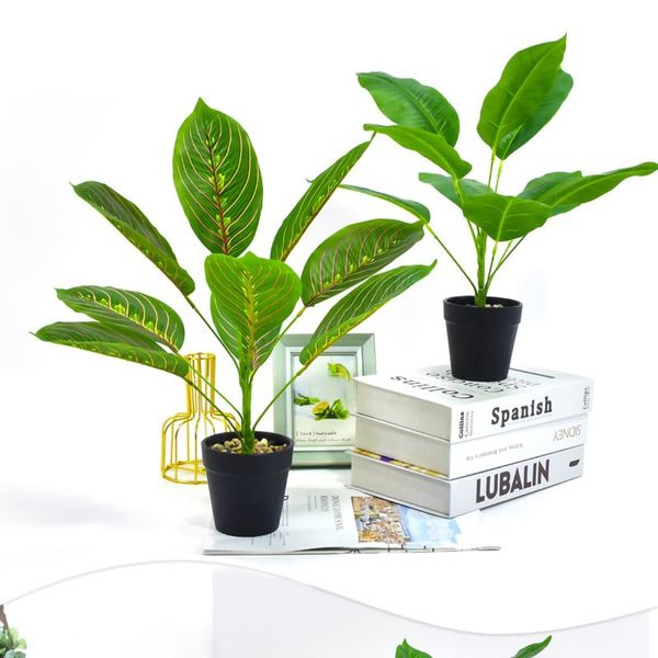 decorative flowers & wreaths simulation green plants, single bunch of 43cm 9-pronged arrowroot leaves, high-quality, company deskhomedec
decorative flowers & wreaths simulation green plants, single bunch of 43cm 9-pronged arrowroot leaves, high-quality, company deskhomedec