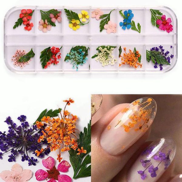 box mix dried flower nail decoration natural floral sticker mixed dry 3d art designs polish manicure accessories1, Silver;gold
box mix dried flower nail decoration natural floral sticker mixed dry 3d art designs polish manicure accessories1, Silver;gold
