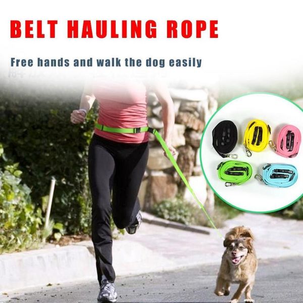 dog collars & leashes 1pcs hands pets lead walking running jogging rope belt traction special leash adjustable y8u9
dog collars & leashes 1pcs hands pets lead walking running jogging rope belt traction special leash adjustable y8u9