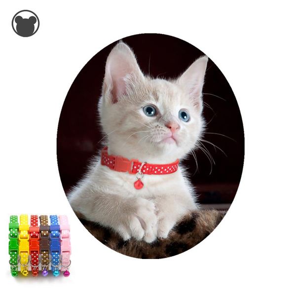 cat collars & leads nylon cute bell collar for cats dog teddy bomei polka dot accessories animal goods
cat collars & leads nylon cute bell collar for cats dog teddy bomei polka dot accessories animal goods