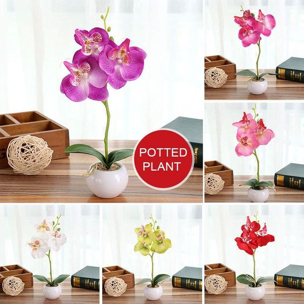 decorative flowers & wreaths moth orchid plastic diy fake plant fashion artificial flower handmade beautiful simulation wedding home decor h
decorative flowers & wreaths moth orchid plastic diy fake plant fashion artificial flower handmade beautiful simulation wedding home decor h