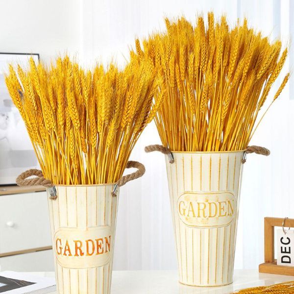 decorative flowers & wreaths artificial wheat ear flower decoration natural pampas reed grass dried wedding party craft scrapbook bouquet
decorative flowers & wreaths artificial wheat ear flower decoration natural pampas reed grass dried wedding party craft scrapbook bouquet