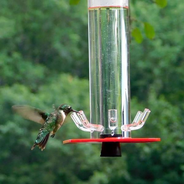 other bird supplies peter's hummingbird feeder for outdoors with 6 feeding ports hanging bright red transparent tube easy to clean jy
other bird supplies peter's hummingbird feeder for outdoors with 6 feeding ports hanging bright red transparent tube easy to clean jy