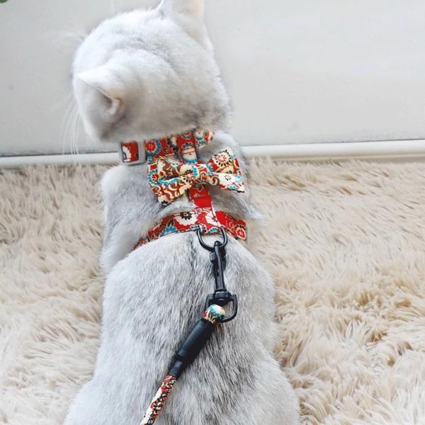 cat collars & leads pet collar, adjustable harness and belt set, special for outdoor walking running animals, cats accessories pets supplies
cat collars & leads pet collar, adjustable harness and belt set, special for outdoor walking running animals, cats accessories pets supplies