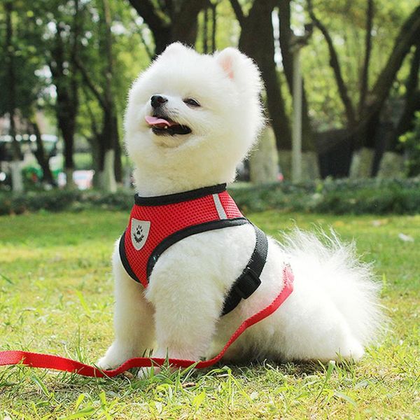 dog collars & leashes cat harness and lead starter set various colors polyester material pet supplies traction rope chest back breathable me
dog collars & leashes cat harness and lead starter set various colors polyester material pet supplies traction rope chest back breathable me