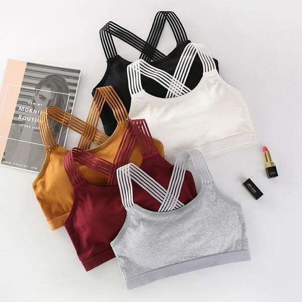 seamless sports bra women fitness gym yoga sport running crop breathable workout outfit
seamless sports bra women fitness gym yoga sport running crop breathable workout outfit