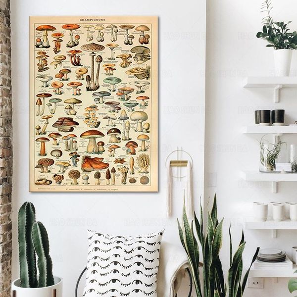 paintings fine botanical educational poster mushrooms champignons identification chart diagram illustration wall art on canvas painting
paintings fine botanical educational poster mushrooms champignons identification chart diagram illustration wall art on canvas painting