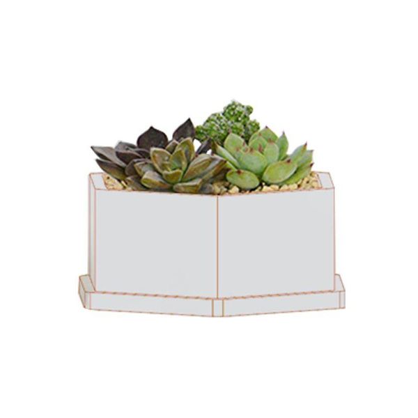 hexagon flower pot diy silicone molds garden planter cement concrete vase soap moulds q1qc planters & pots
hexagon flower pot diy silicone molds garden planter cement concrete vase soap moulds q1qc planters & pots