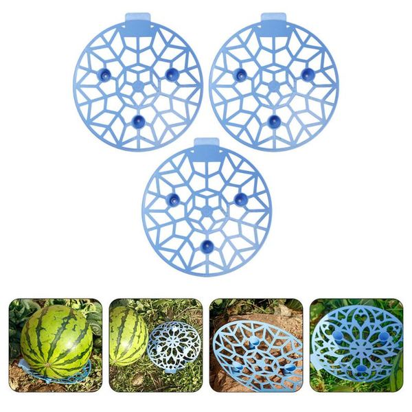 dishes & plates 3pcs watermelon planting tray fruit antiseptic storage (sky-blue)