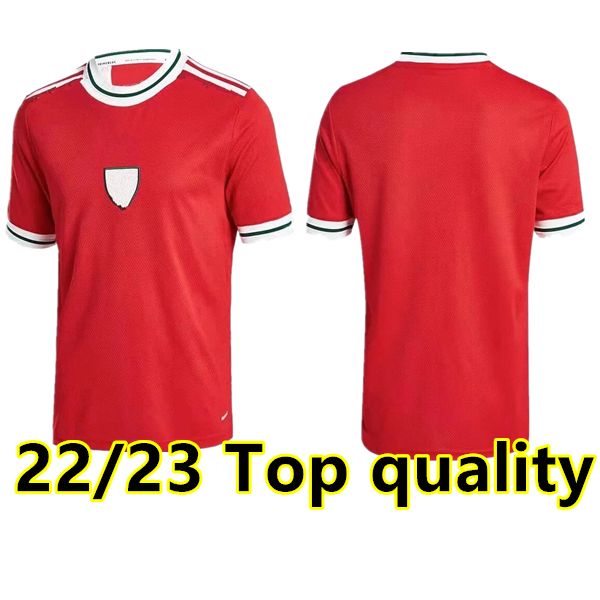 2022 wales soccer jerseys bale james ramsey national team woman 22 23 cymru home away maillot de football shirt men kids kit uniforms, Black;yellow
2022 wales soccer jerseys bale james ramsey national team woman 22 23 cymru home away maillot de football shirt men kids kit uniforms, Black;yellow