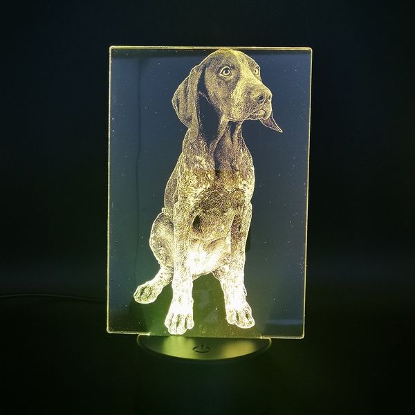 pet dog 3d desk lamp acrylic night light led usb nightlight german shorthaired pointer app control holiday birthday kids gift
pet dog 3d desk lamp acrylic night light led usb nightlight german shorthaired pointer app control holiday birthday kids gift