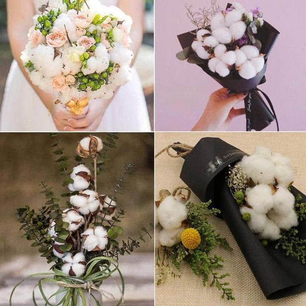 decorative flowers & wreaths 5/10/20/30pcs naturally dried cotton flower artificial decoration home decor fake for wedding plants branch flo
decorative flowers & wreaths 5/10/20/30pcs naturally dried cotton flower artificial decoration home decor fake for wedding plants branch flo