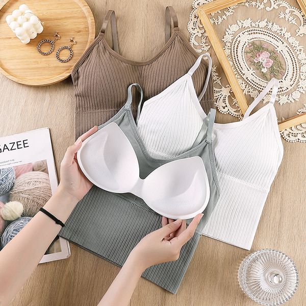 seamless sports crop adjusted simple basic tube sleeveless all match padded women bralette, Black;white
seamless sports crop adjusted simple basic tube sleeveless all match padded women bralette, Black;white