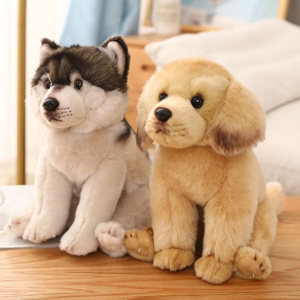 lifelike tibetan mastiff black dog puppy plush toy stuffed animals doll baby kids boy birthday gift home shop decor dog doll toy
lifelike tibetan mastiff black dog puppy plush toy stuffed animals doll baby kids boy birthday gift home shop decor dog doll toy
