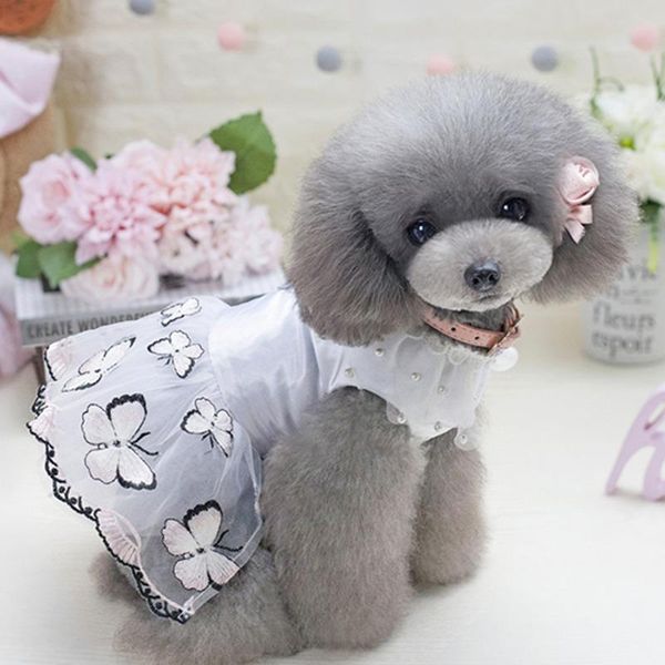 dog apparel butterfly dream skirt pet clothes spring/summer cotton solid skirts princess dress costume
dog apparel butterfly dream skirt pet clothes spring/summer cotton solid skirts princess dress costume