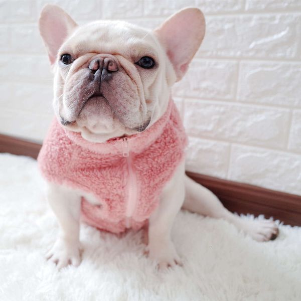 the dog clothes pet coral velvet high collar zipper sweater vest winter dog clothing fadou chenery
the dog clothes pet coral velvet high collar zipper sweater vest winter dog clothing fadou chenery