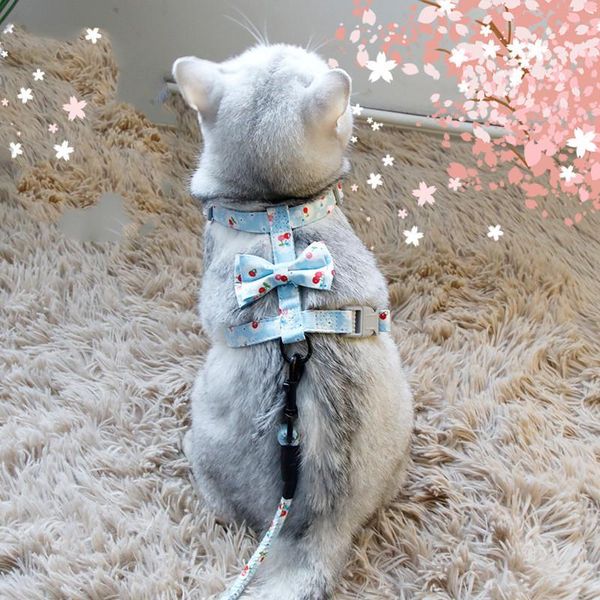 cat collars & leads 2021 dog harness vest leash set puppy small pet bow floral traction rope adjustable chien doggy kitten collar supplies
cat collars & leads 2021 dog harness vest leash set puppy small pet bow floral traction rope adjustable chien doggy kitten collar supplies
