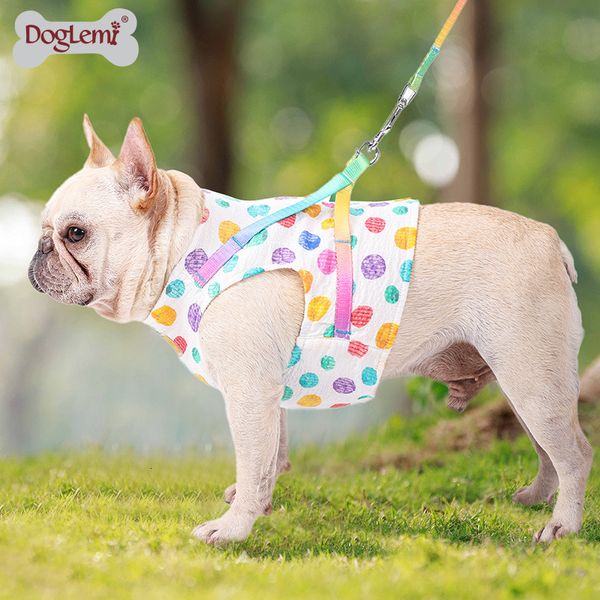dog apparel pet clothes chest and back traction rope small medium cat vest type walking suit
dog apparel pet clothes chest and back traction rope small medium cat vest type walking suit