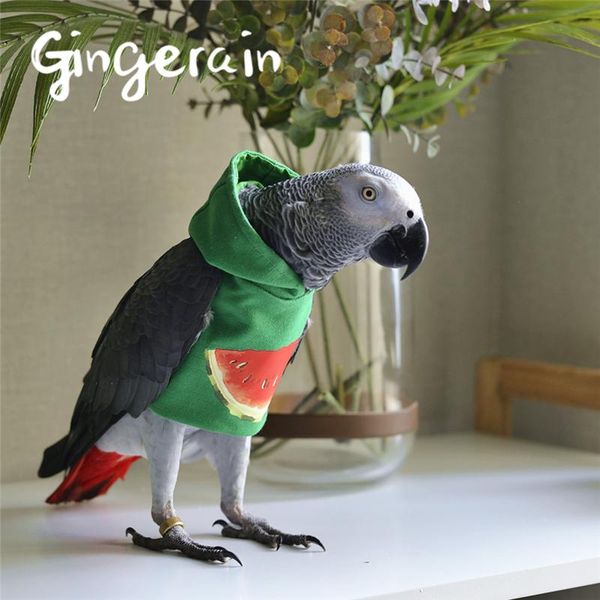 other bird supplies gingerain clothes parrot watermelon original hand-made custom hoodedsweater
other bird supplies gingerain clothes parrot watermelon original hand-made custom hoodedsweater