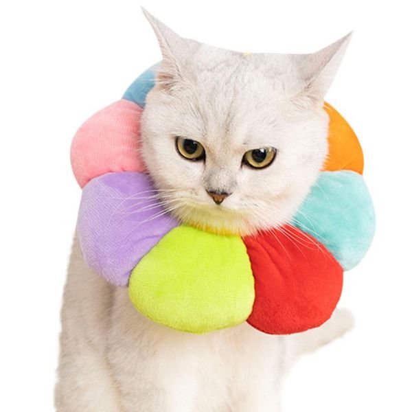 cat collars & leads pet elizabeth collar anti-scratch anti-licking headgear soft comfortable posrative protective sleeve supplies
cat collars & leads pet elizabeth collar anti-scratch anti-licking headgear soft comfortable posrative protective sleeve supplies
