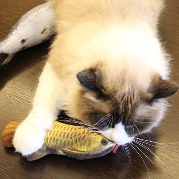 cat toys electric usb charging pet toy simulation dancing moving floppy wagging tail fish cats for dog interactive
cat toys electric usb charging pet toy simulation dancing moving floppy wagging tail fish cats for dog interactive