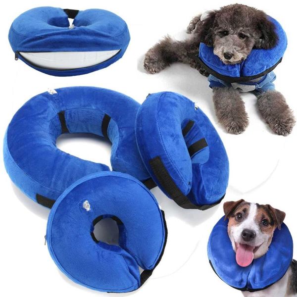 dog collars & leashes 3 size inflatable pet cat collar anti-bite neck elizabethan puppy protective circle for small large care
dog collars & leashes 3 size inflatable pet cat collar anti-bite neck elizabethan puppy protective circle for small large care