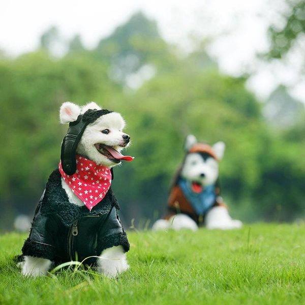 dog apparel pet warm accessories autumn winter fashion clothing leather velvet outfits dogs thickened coat with zipper clothes
dog apparel pet warm accessories autumn winter fashion clothing leather velvet outfits dogs thickened coat with zipper clothes