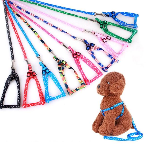 dog collars & leashes adjustable 1pcs harness chain toy interactive pet supplies lead leash fiber printed chest back traction rope
dog collars & leashes adjustable 1pcs harness chain toy interactive pet supplies lead leash fiber printed chest back traction rope