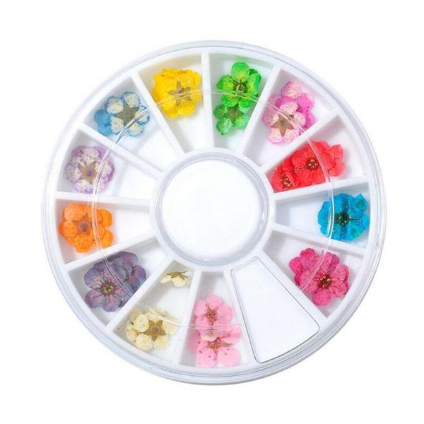 nail art kits 12/24pcs mix dried flowers decorations jewelry floral designs polish 3d manicure accessories leaf natural sti o5x0
nail art kits 12/24pcs mix dried flowers decorations jewelry floral designs polish 3d manicure accessories leaf natural sti o5x0