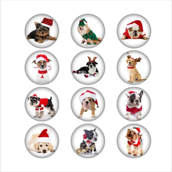 charm bracelets christmas dog glass perfume aroma locket po cabochons da1051 phone holder, Golden;silver
charm bracelets christmas dog glass perfume aroma locket po cabochons da1051 phone holder, Golden;silver