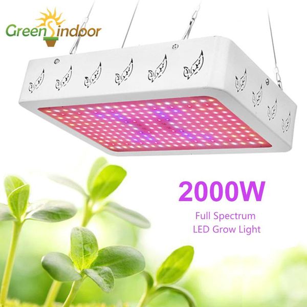 grow lights cultivation led full spectrum 2000w 3000w phytolamp for plants white 3500k growing lamp greenhouse seedling lamps
grow lights cultivation led full spectrum 2000w 3000w phytolamp for plants white 3500k growing lamp greenhouse seedling lamps