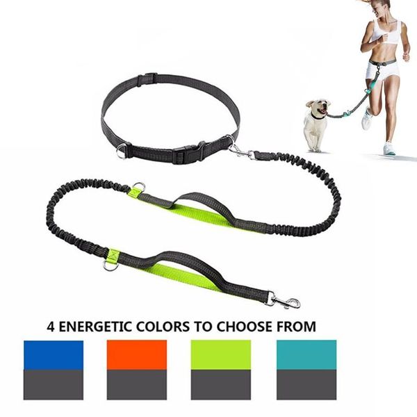 dog collars & leashes leash elastic waist belt reflective strip lead rope hands multifunction walking running pet dogs supplies
dog collars & leashes leash elastic waist belt reflective strip lead rope hands multifunction walking running pet dogs supplies
