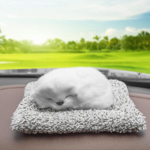 interior decorations simulated pet for air purification and eemoval of formaldehyde in the car
interior decorations simulated pet for air purification and eemoval of formaldehyde in the car