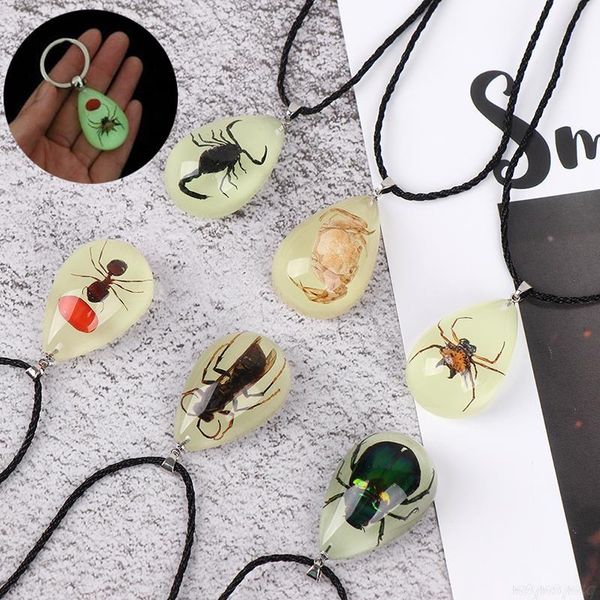 pendant necklaces luminous insect stone natural scorpions inclusion baltic necklace gift, Silver
pendant necklaces luminous insect stone natural scorpions inclusion baltic necklace gift, Silver