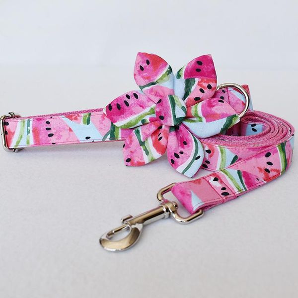 dog collars & leashes personalized pet fruits flower collar and leash set can carve for suitable all kinds of small dog, medium
dog collars & leashes personalized pet fruits flower collar and leash set can carve for suitable all kinds of small dog, medium