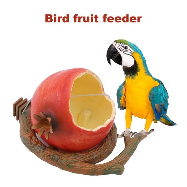other bird supplies funny fruit shape feeder pet parrot orange pomegranate shaped water feeding bowl box container cages decoration
other bird supplies funny fruit shape feeder pet parrot orange pomegranate shaped water feeding bowl box container cages decoration